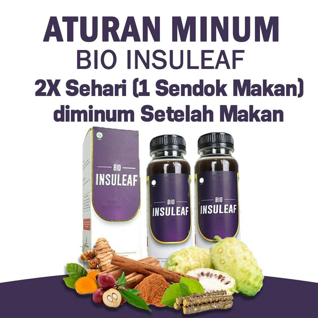 Pake Bebas Diabetes 3 Botol Bio Insuleaf – Herbal Alami Cegah Diabetes Bantu Turunkan Gula Darah Cegah Kencing Manis Asam Urat &amp; Kolesterol BPOM Herbal Anti Diabetes Bantu Kuatkan Daya Tahan Tubuh