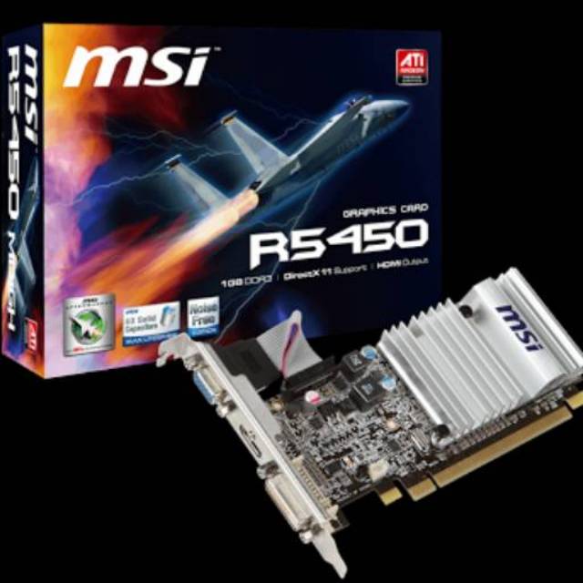 VGA Card MSI R5450