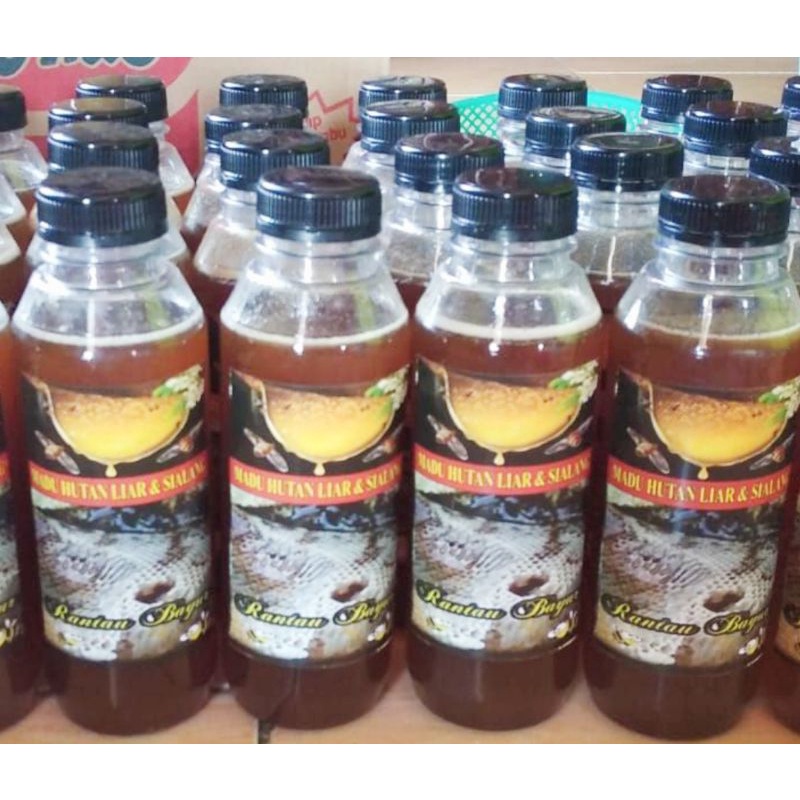 

Madu Murni Hutan Asli Sumatera