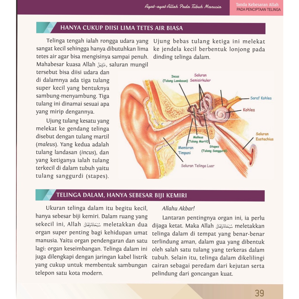 Ayat Ayat Allah Pada Tubuh Manusia Original - Ummu Ihsan Dan Abu Ihsan Al Atsari - Pustaka Imam Asy Syafii-1