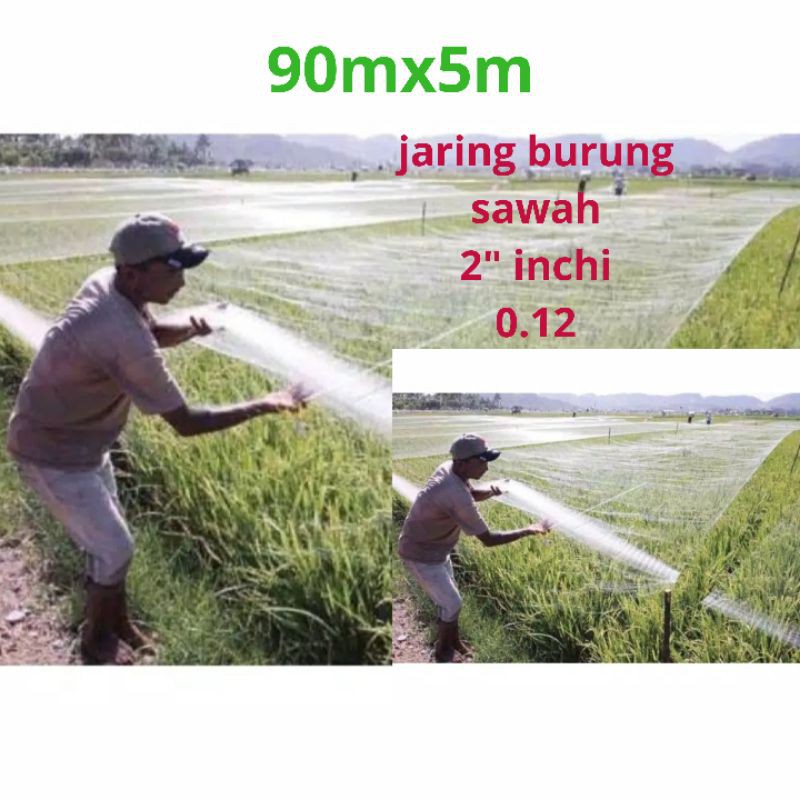 Jaring burung sawah jaring burung pipit Jaring burung kecil Jaring burung emprit jaring padi