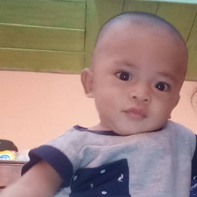 ghayatrisnakeliansoilefi