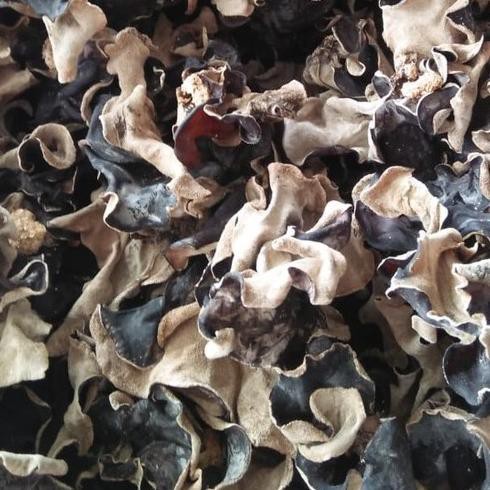 

JAMUR KUPING KERING KUALITAS PREMIUM 100 GRAM