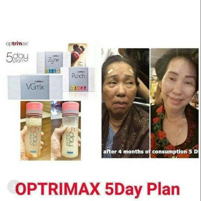 Paket 5 Day Plan Optrimax (VGMix Punch Ezy @1 box)