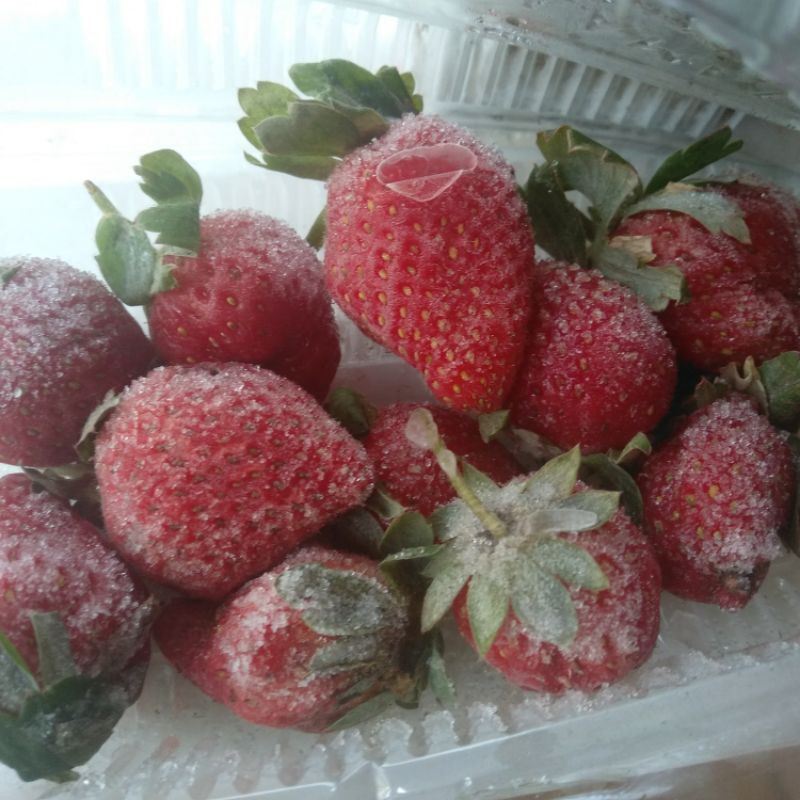 

Frozen strawberry premium berdaun 1kg Murah