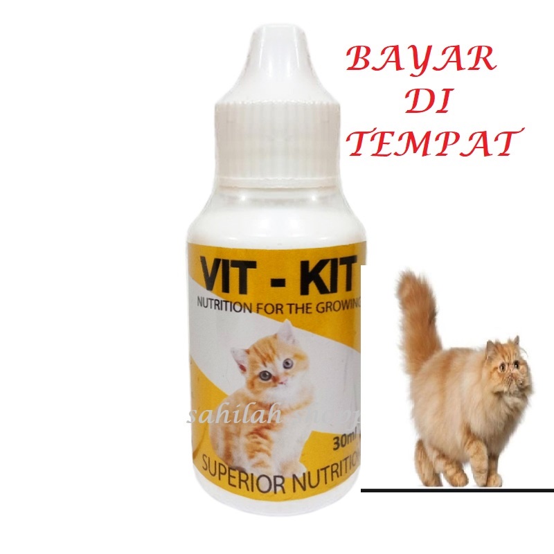 VITAMIN KUCING PENAMBAH NAFSU MAKAN KITTEN  VIT KIT