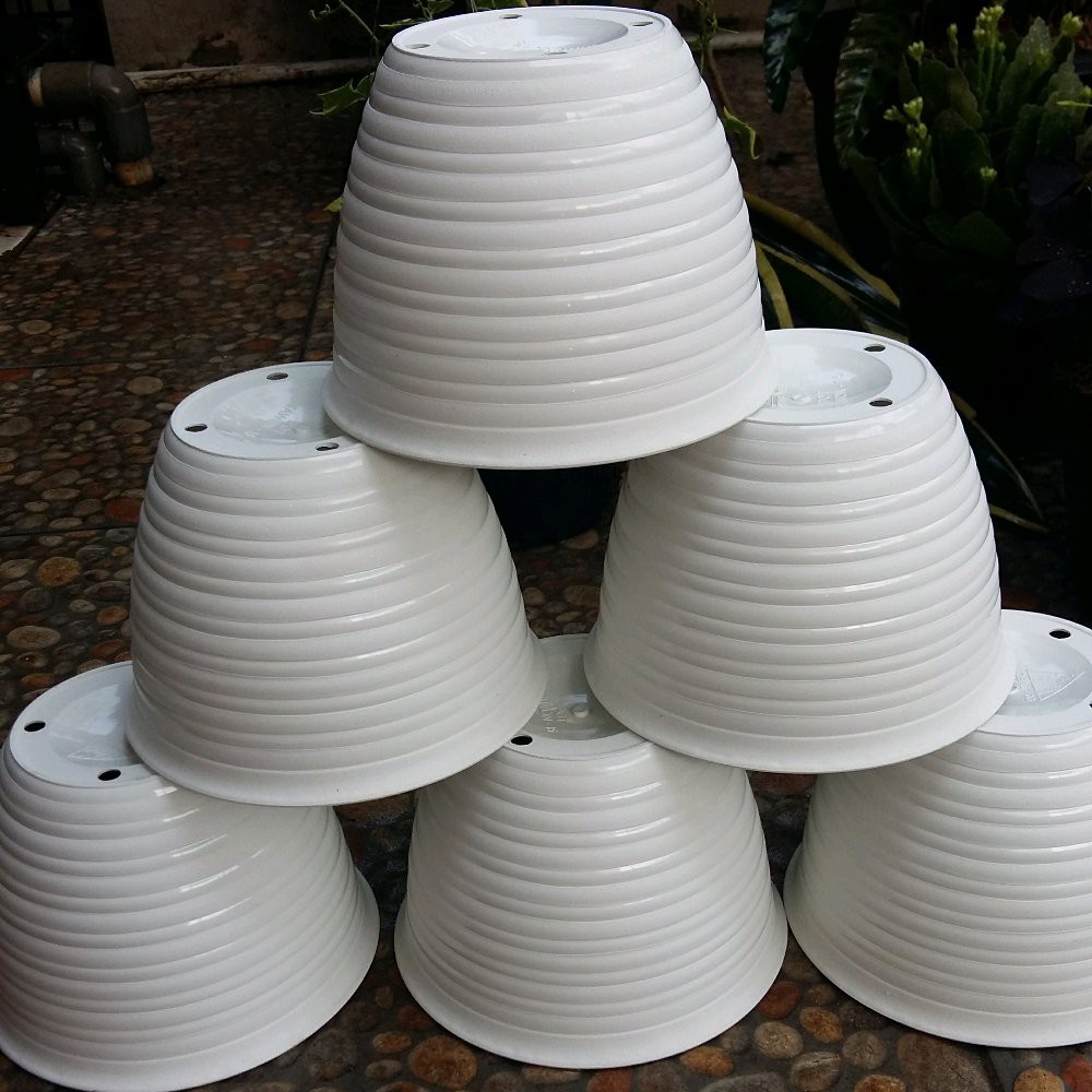 Pot Tanaman dan Bunga Plastik Putih Tawon 18 cm Shopee Pot Tanaman dan Bunga Plastik Putih Tawon 18 cm Shopee