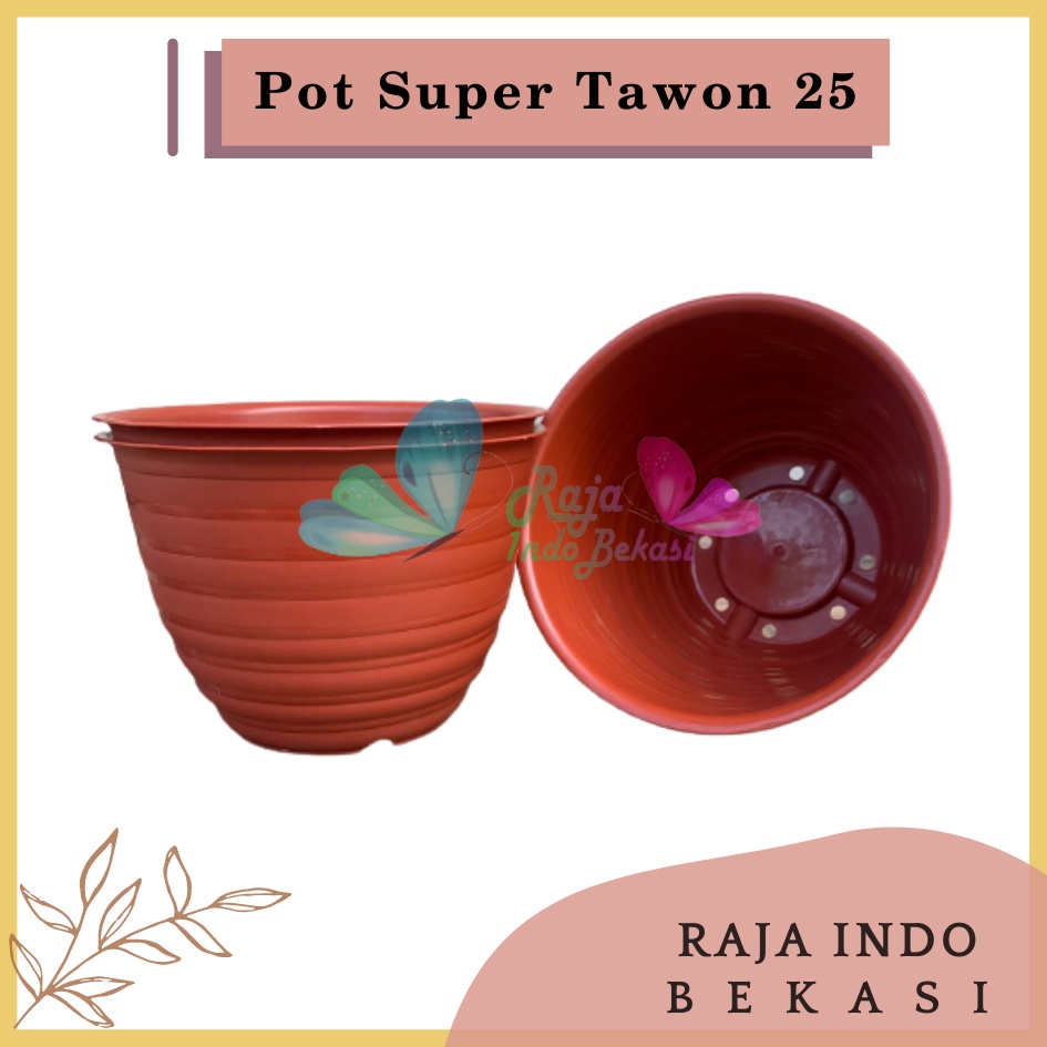 Pot Super Tawon 25 Merah BataTerracota Terracotta Merah Coklat Garden Of Love Pot Tawon Putih Tirus Pot Tawon Pirus 18 20 21 25 27 - Pot Tawon 25