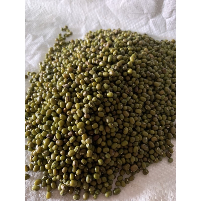 

Kacang Hijau 888 Super 1 kg