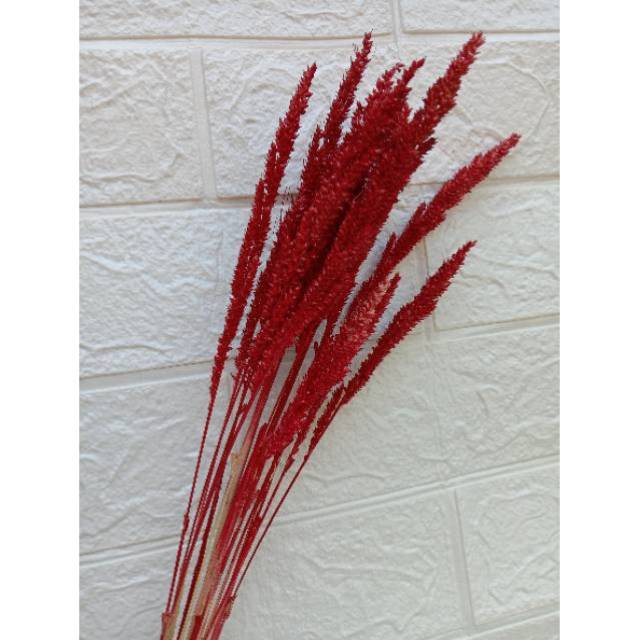 BUNGA KERING/BUNGA RUSTIC (MERAH)