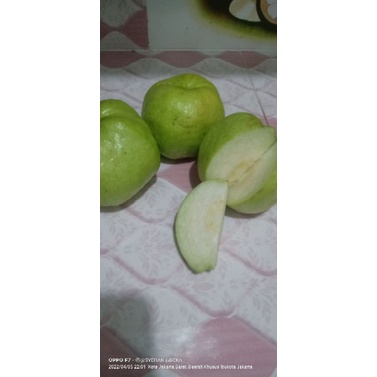 

jambu crystal syehan