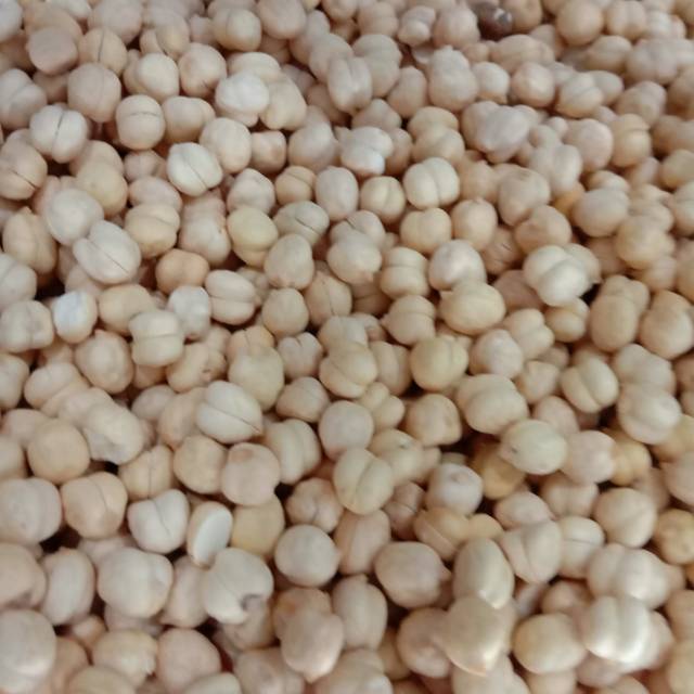 Kacang arab  chick peas 1kg