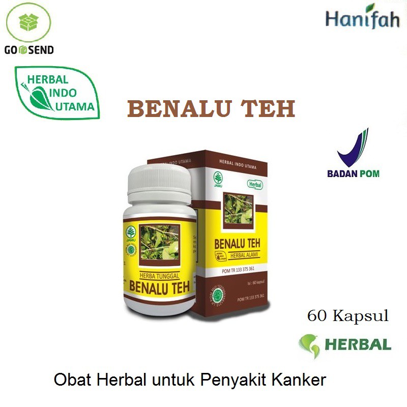 

Obat Herbal Benalu Teh untuk Kanker dan Tumor HIU 60 kapsul