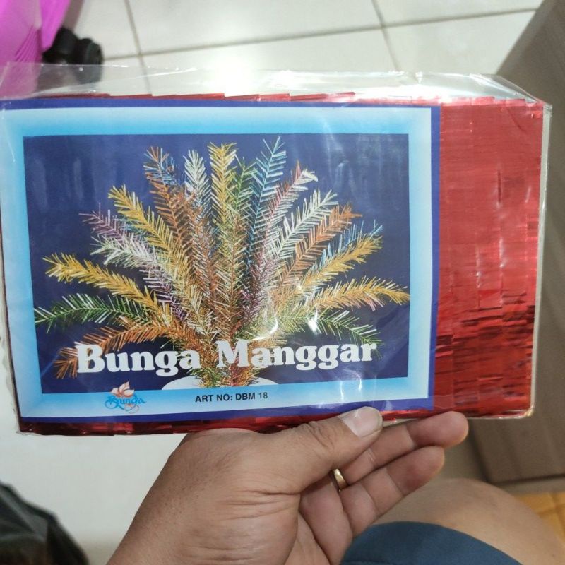 Bunga Manggar Ultah Pontianak Hut RI