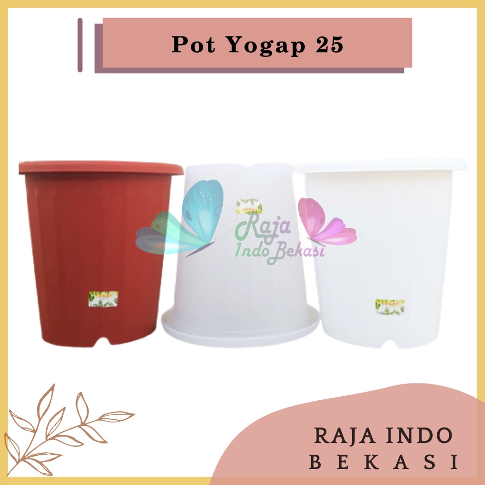 Pot Yogap 25 Putih Transparan Bening Merah Bata Coklat Bata Grosir Pot Yogap 25 Murah