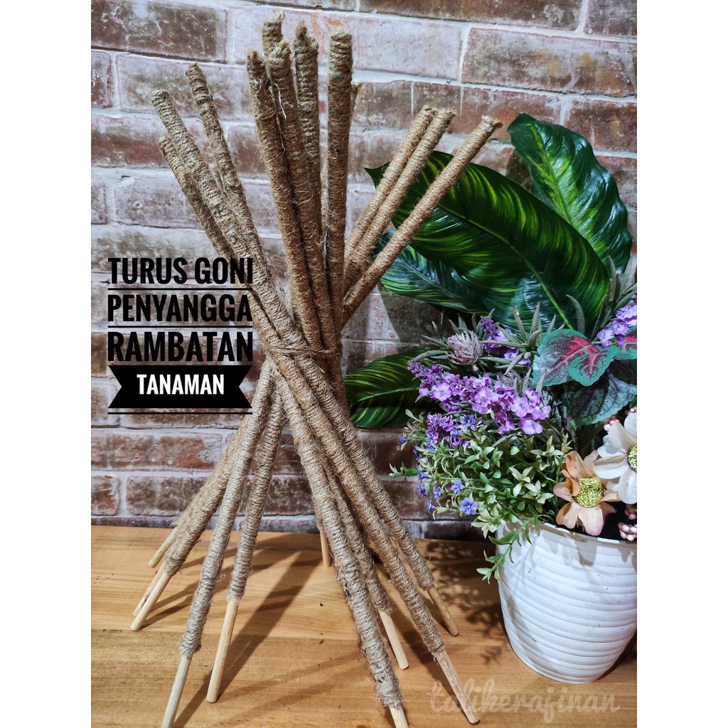 READY SIAP KIRIM TURUS GONI PENYANGGA DAN RAMBATAN TANAMAN HIAS TINGGI 50CM BISA COD