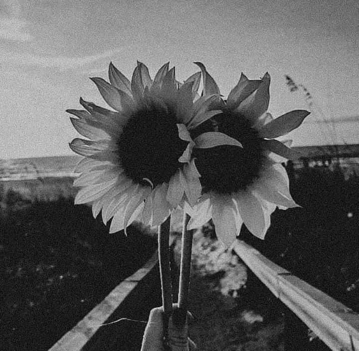 Batik Pria Kemeja Jumbo Batik Pria Lengan Panjang Size M L Xl Xxl 3l 4l 5l 6l Terlaris