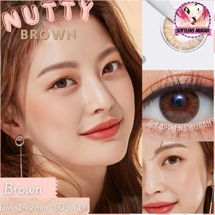 nutty brown softlens 14.2mm