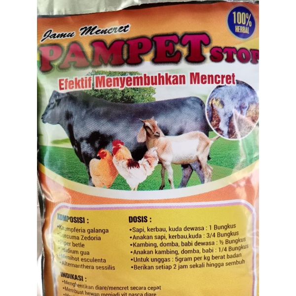 

jamu mencret pampet stop