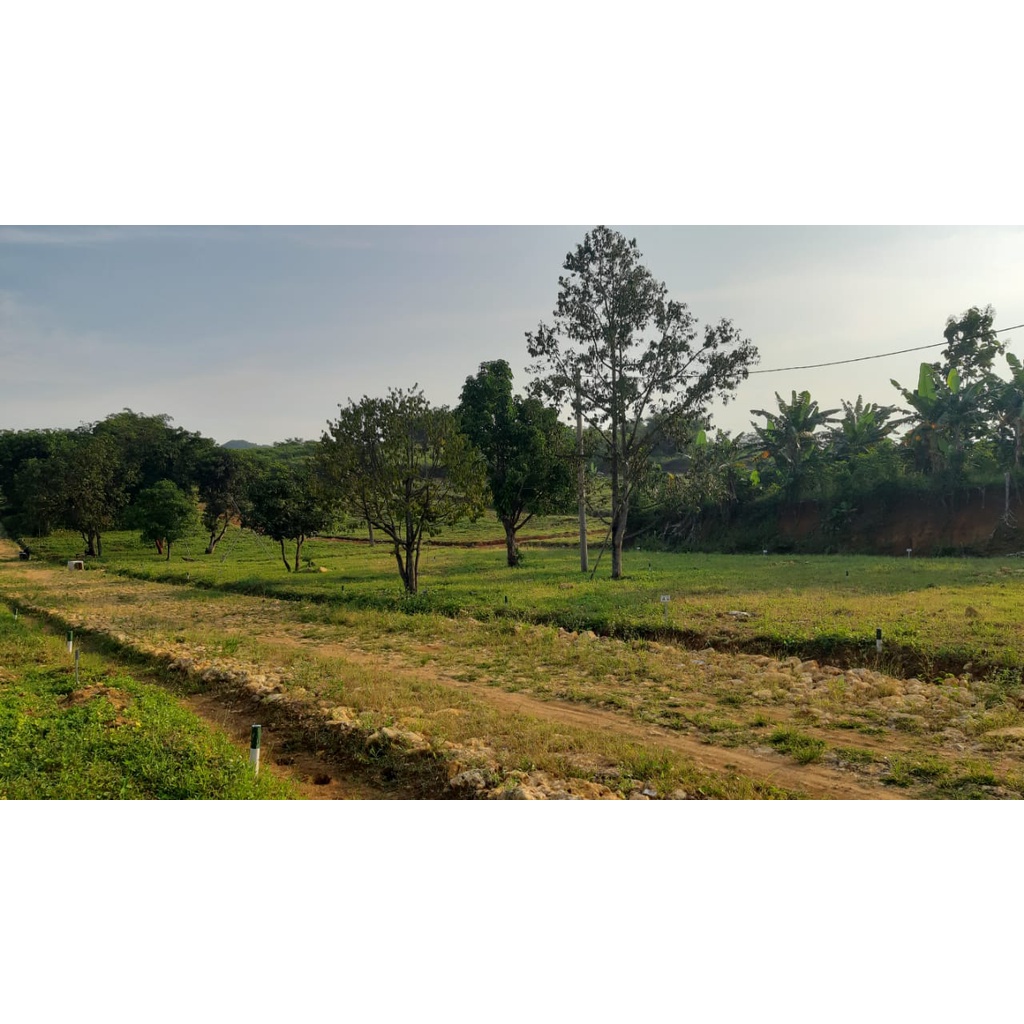 Tanah Kavling Murah Dekat Tol Cibubur