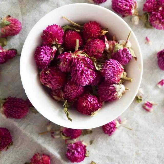 

PREMIUM - GLOBE AMARANTH / teh bunga globe amarant