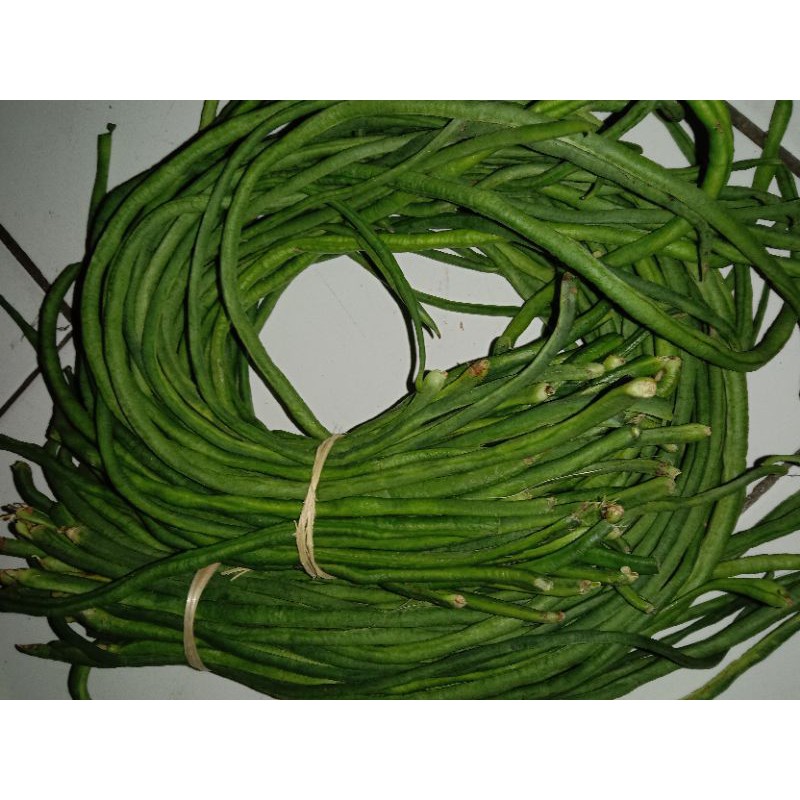 

kacang panjang di jual / kg