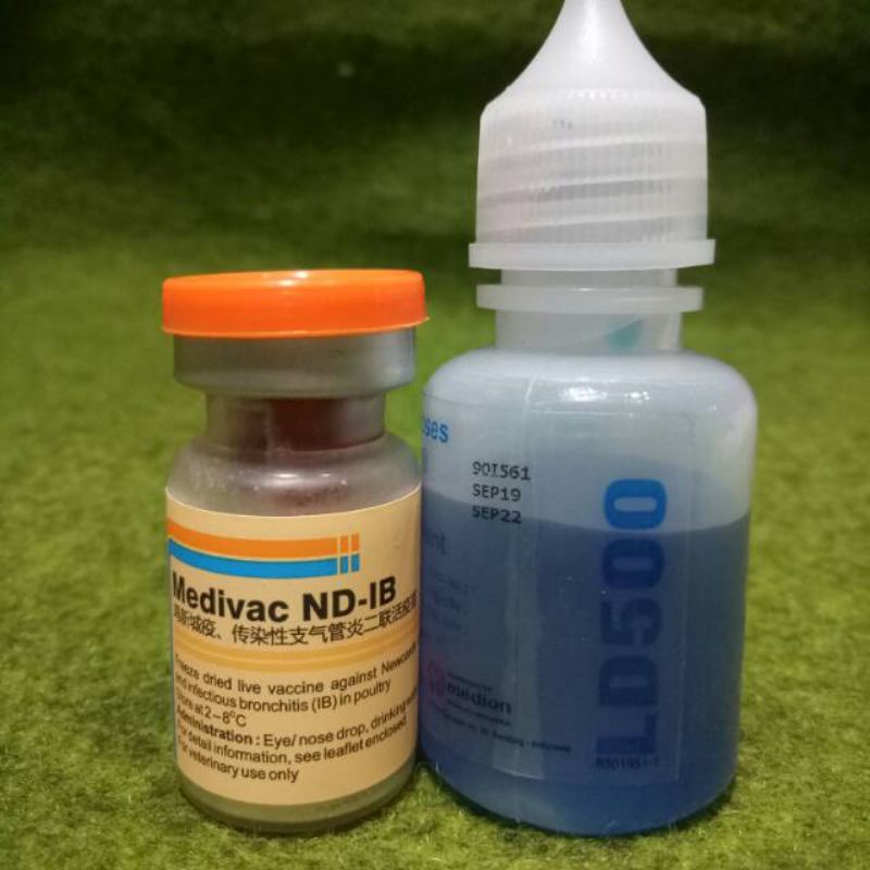 ND IB 500 vaksin ayam vaksin tetes
