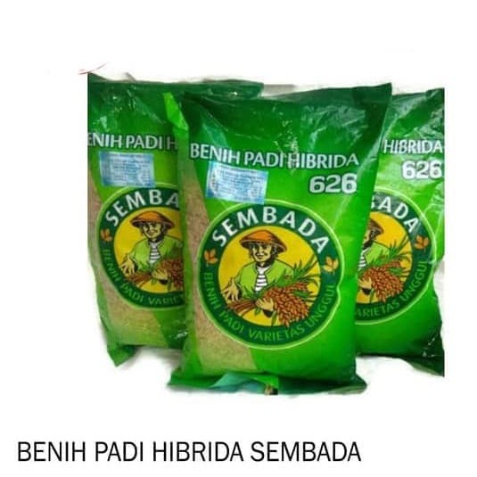 Benih Pertanian // bibit Padi HIBRIDA // Sembada 626