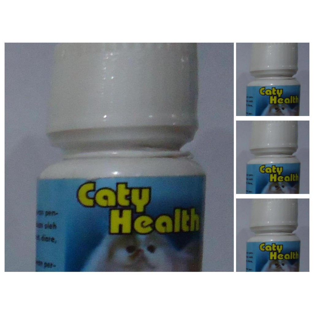 obat diare dan muntah kucing   caty health