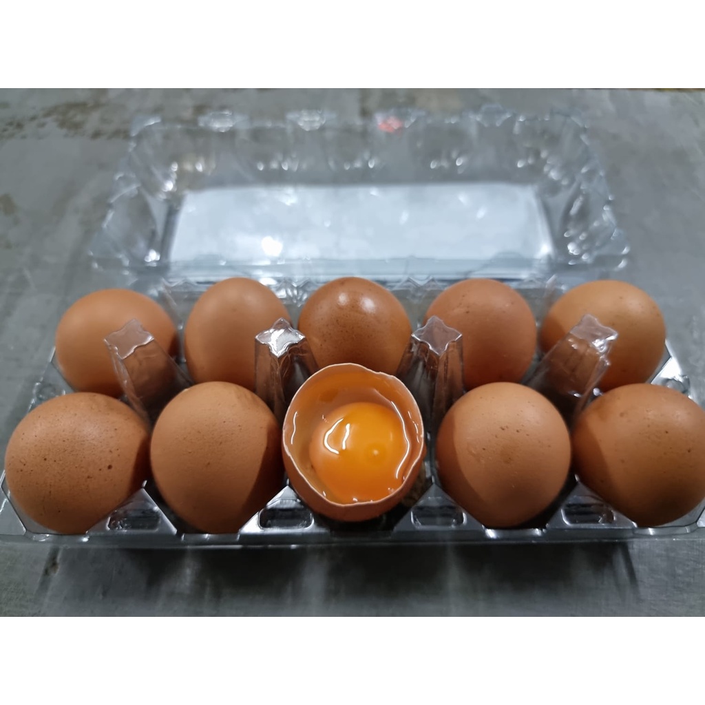 Telur Ayam negeri Omega Fresh 10 Butir /Box Mika