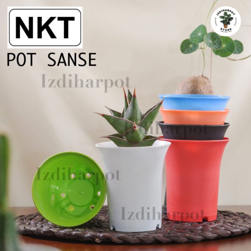 pot bunga tanaman mini nkt sanse 05 warna warni 5cm - NKT MINI SANSE 5