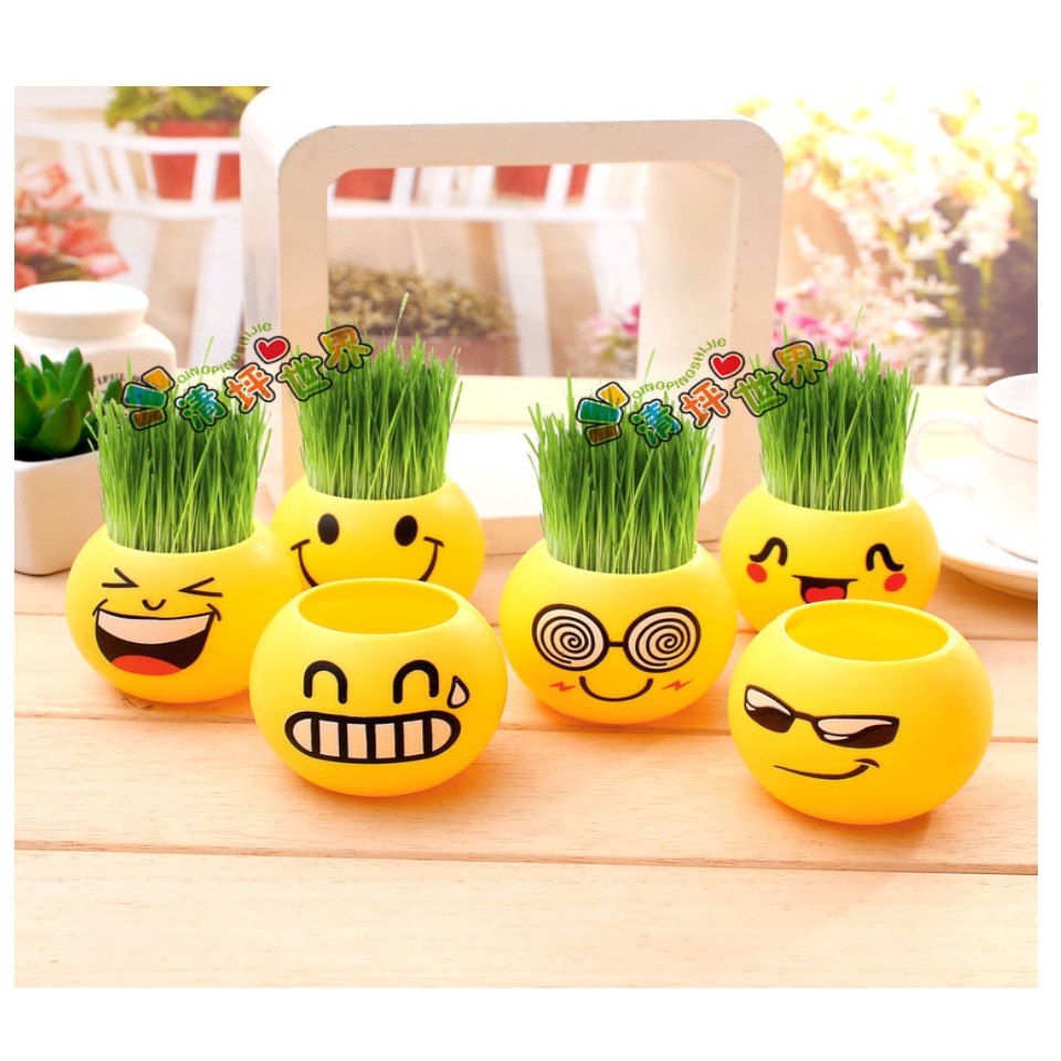 READY STOCK!!Pot Rumput Mini Emoticon/Pot Bunga Mini Plant Kantor Lucu