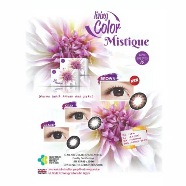 SOFTLENS MISTIQUE GRAY DAN BROWN CHAT PENJUAL YA UNTUK WARNA