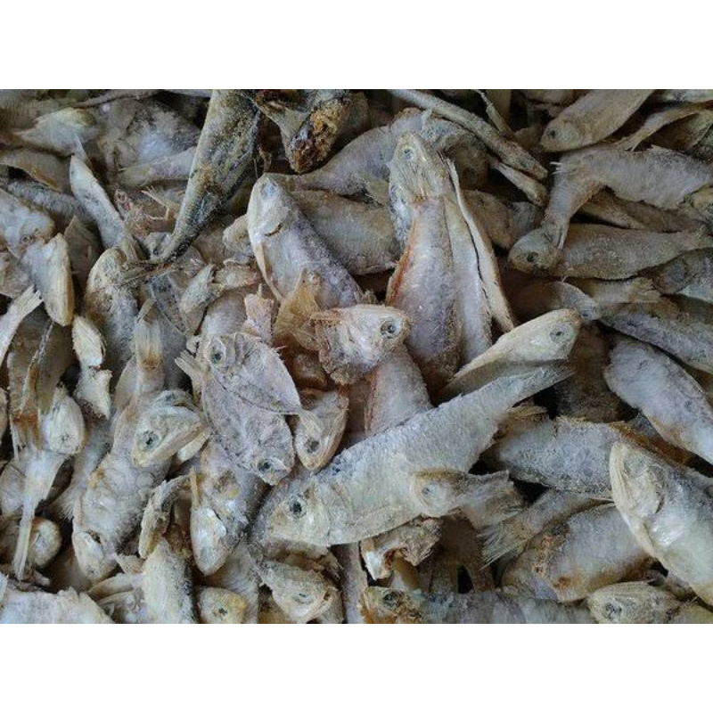 Jual Ikan Asin Kemasan Kecil Ikan Asin Ikan Kering Ikan Laut Kering Shopee Indonesia