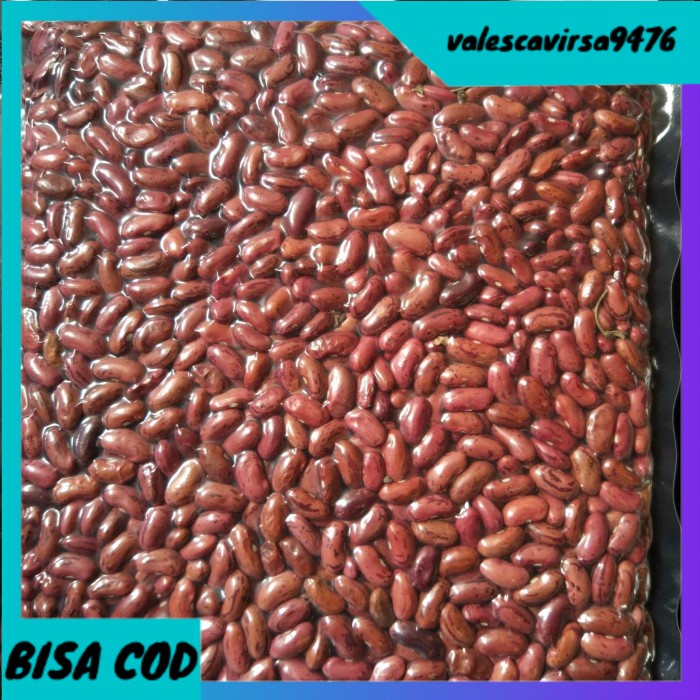 

⭐BISA COD⭐ Kacang Merah Organik 1 KG