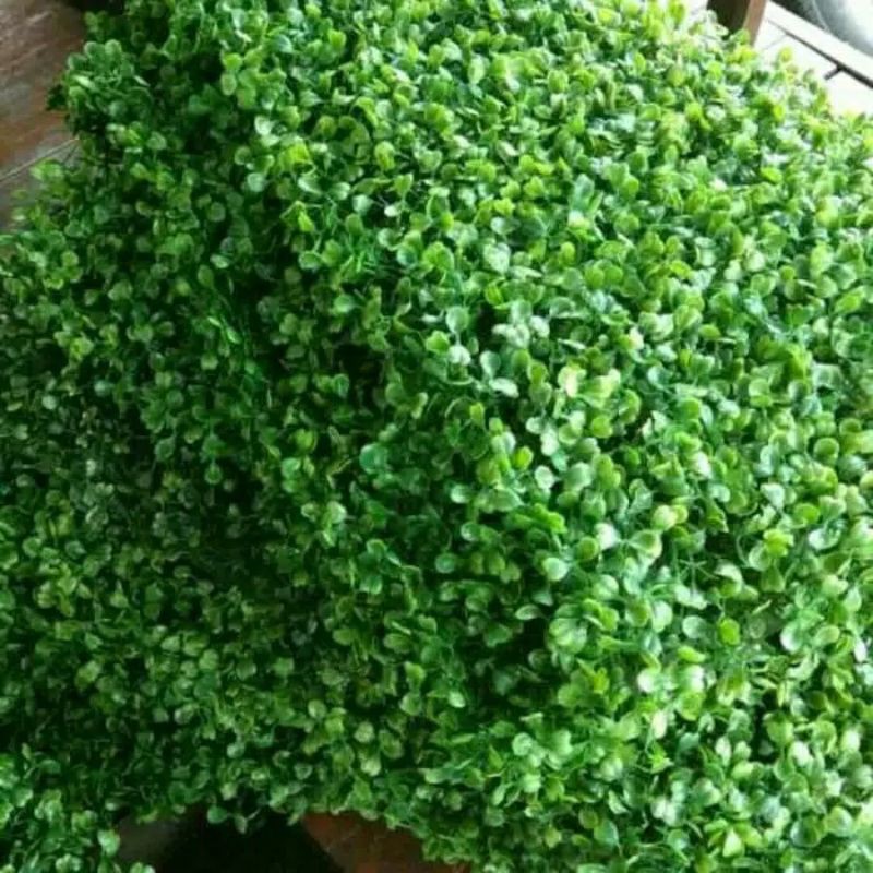 Daun rambat tembok daun artificial daun dolar plastik