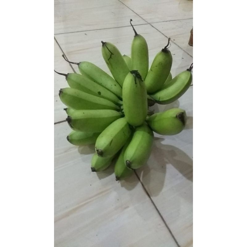 

pisang mas kirana