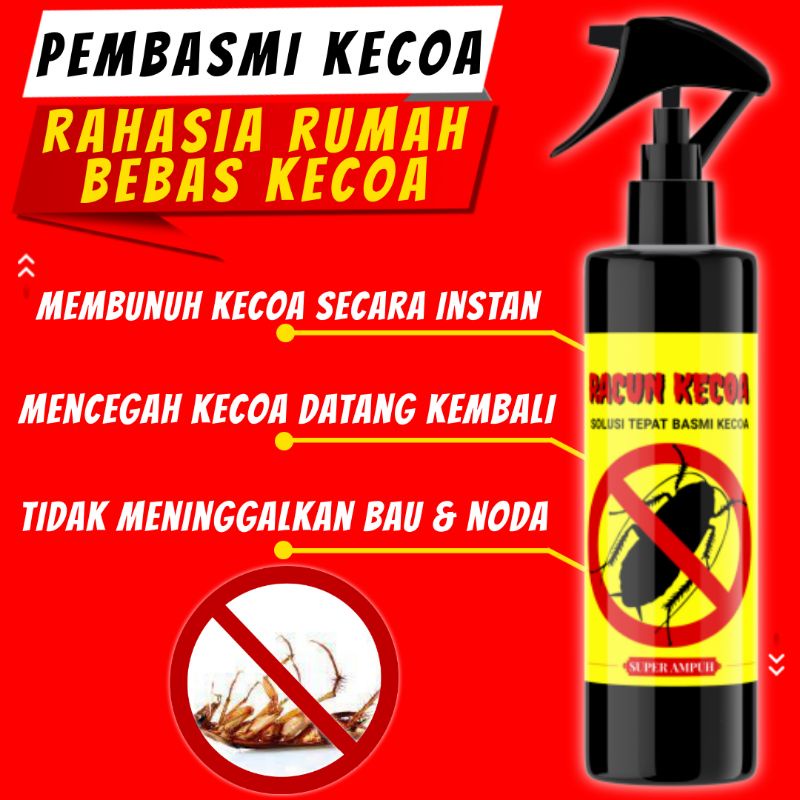 PERANGKAP KECOA PEMBASMI KECOA AMPUH PENGUSIR KECOA KECOA KECOAK PALING AMPUH