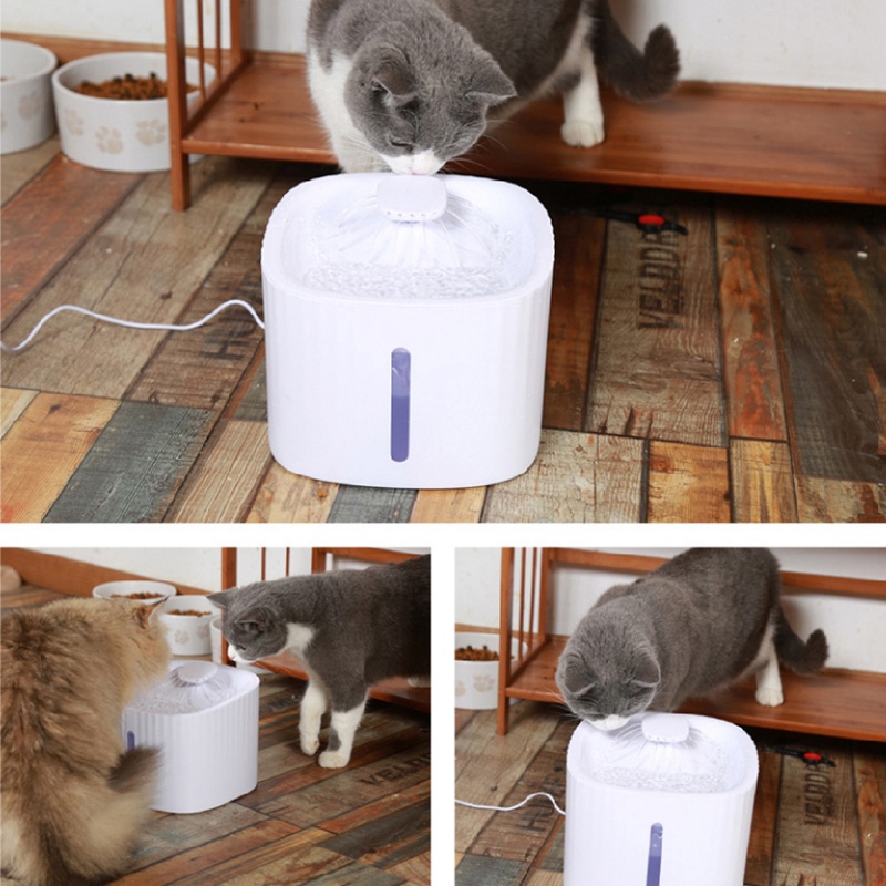 Water Dispenser Tempat Minum Kucing Anjing 3L Water Feeder Air Mancur