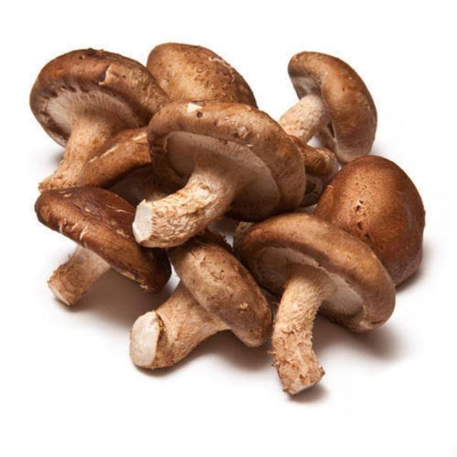 

500gr / Fresh Shiitake Mushroom / Jamur Shitake - Sitake / Jamur Hioko / Fresh Hioko Mushroom