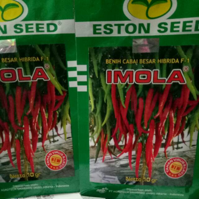 Cabai Besar Imola F 1