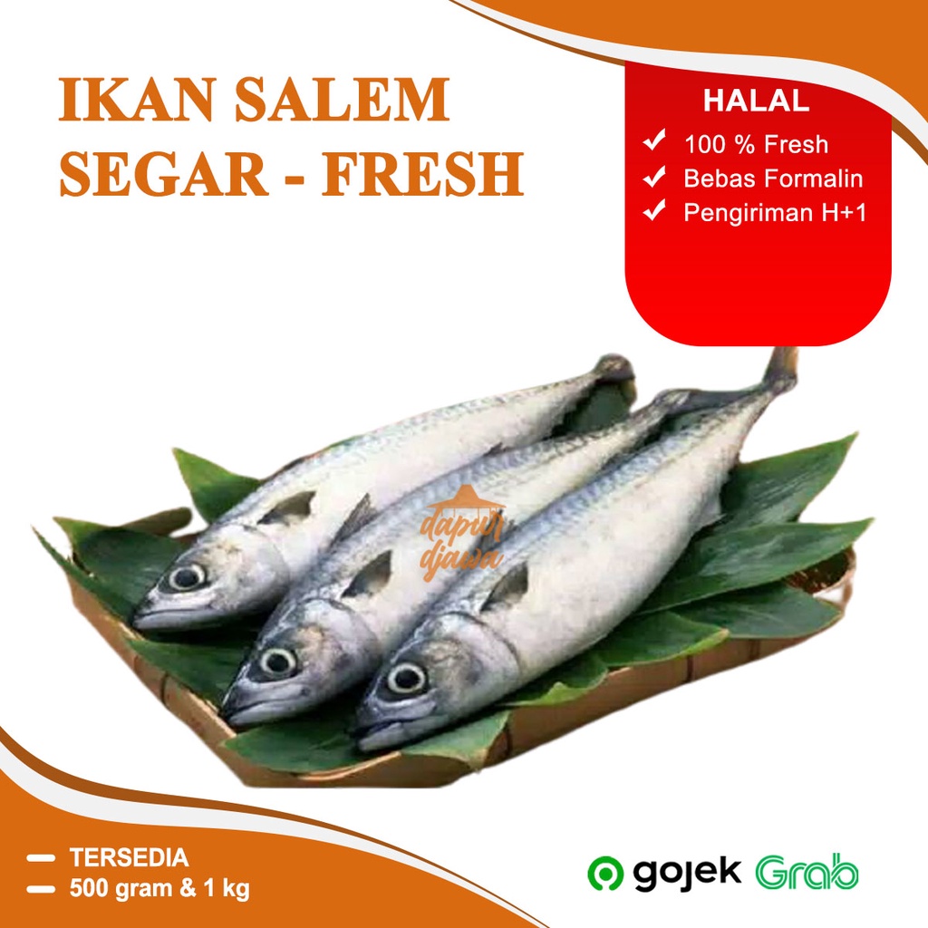 Jual Ikan Salem Kembung Utuh Fresh Frozen Segar Beku 500 Gram 1000 Gram