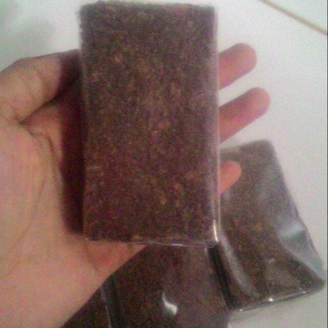 

Terasi udang