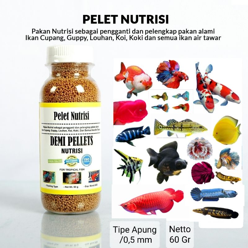 DEMI PELET NUTRISI kemasan botol 60 gram pakan penunjang pertumbuhan ikan hias