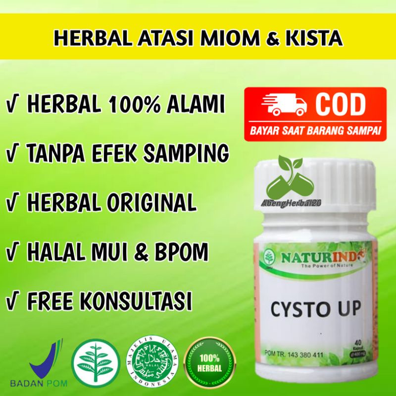 CYSTO UP obat herbal Kista dan miom dengan gejala mudah lelah nyeri bab beser perut kembung-2