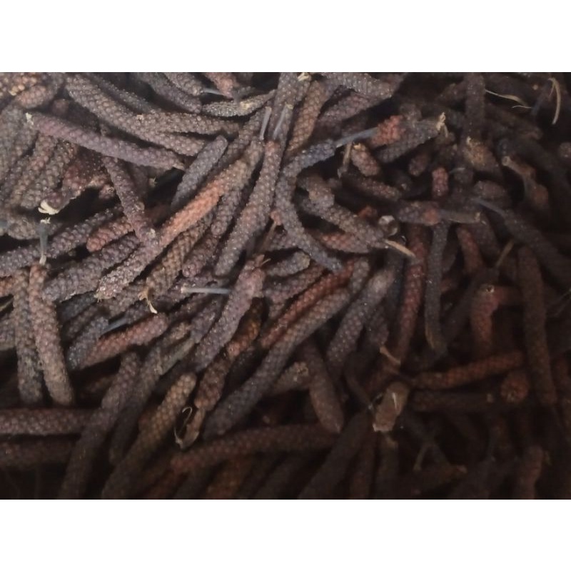 

Cabe jamu/Cabe jawa