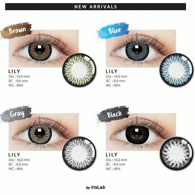 SOFTLENS LILY BLACK (-0.50 S/D -6.00)