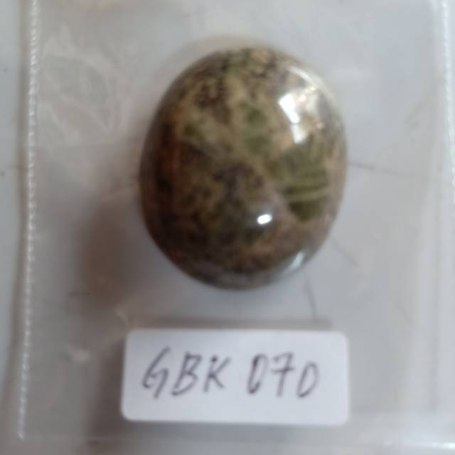

GBK070 Green Borneo Kalimantan
