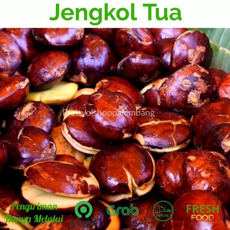 

[PALEMBANG] JENGKOL TUA 1 KG - SAYUR BUAH IKAN SEGAR ONLINE PRETTY OLSHOP PALEMBANG