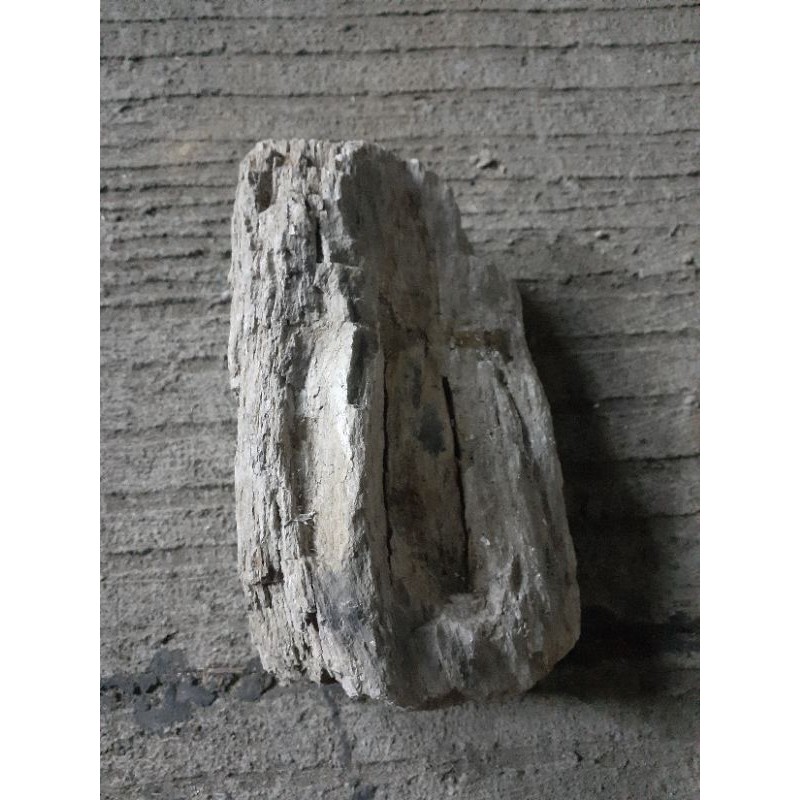 Batu fosil kayu/batu aquarium/wood stone fossils